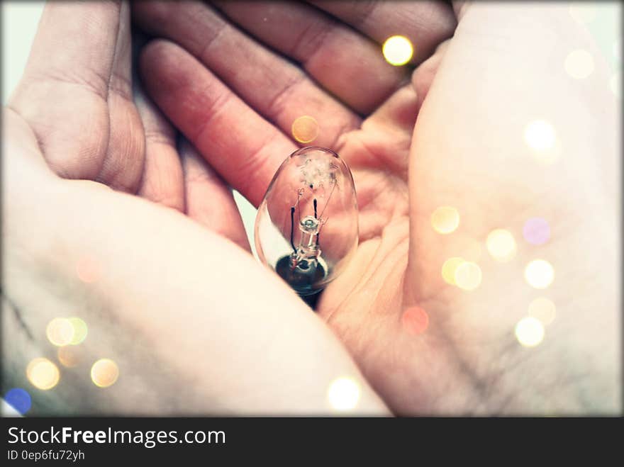 Centered Clear Bulb on Human Hand