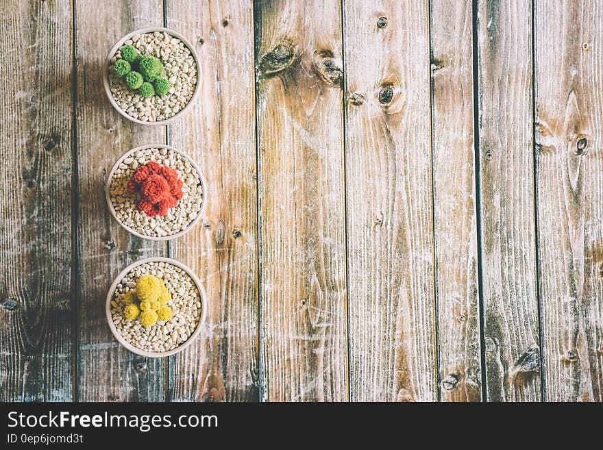 A trio of different color cacti on a wooden background. A trio of different color cacti on a wooden background.