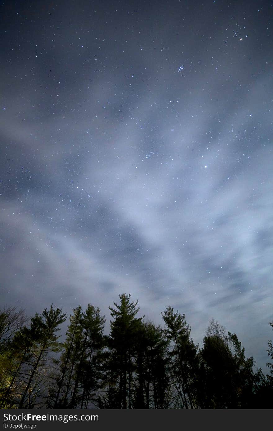 Starry sky and clouds over a silhouetted forest at night. Starry sky and clouds over a silhouetted forest at night.