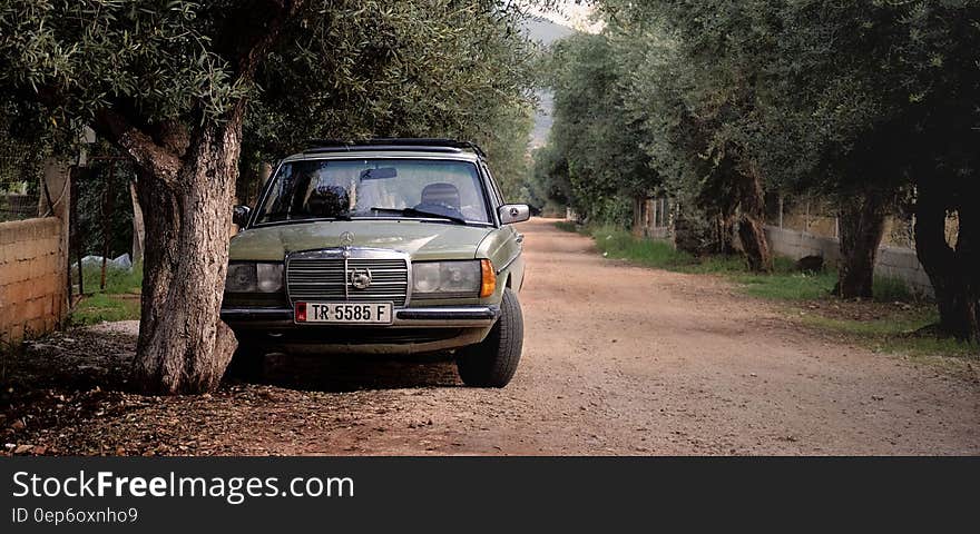 Green Mercedes Benz W123 Parked Near Tree