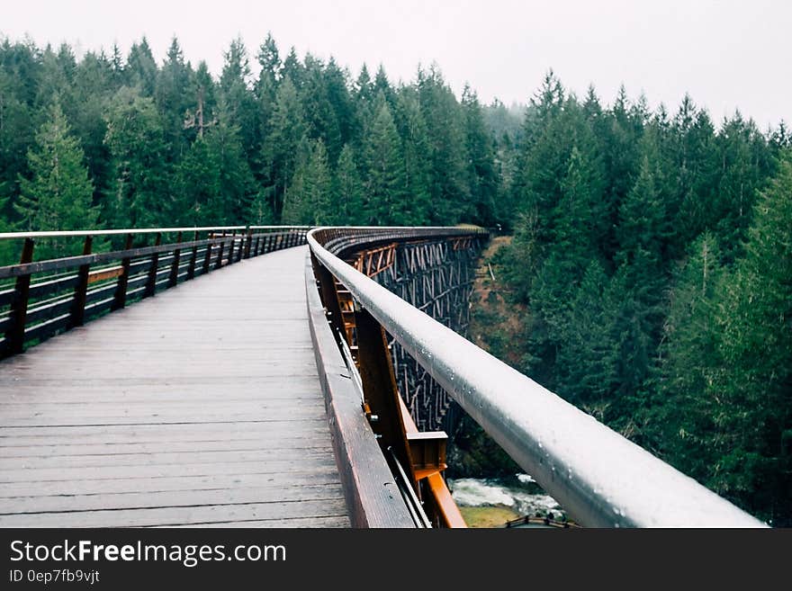 Green Pine Trees Next to a Wooden Bridge