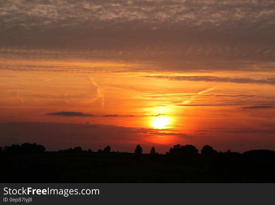 Orange Cloudy Sunset over Tree Silhouettes