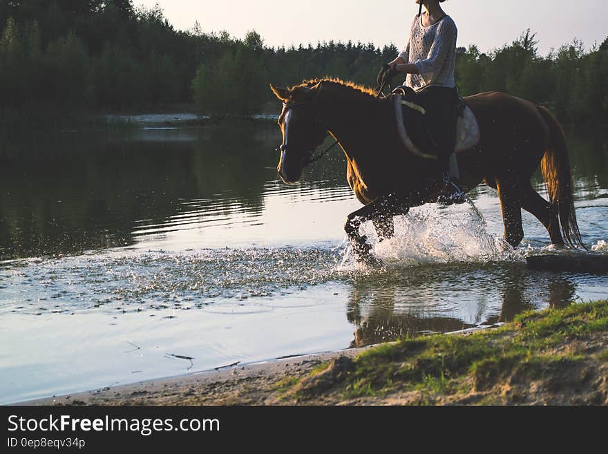 Woman Riding a Horse