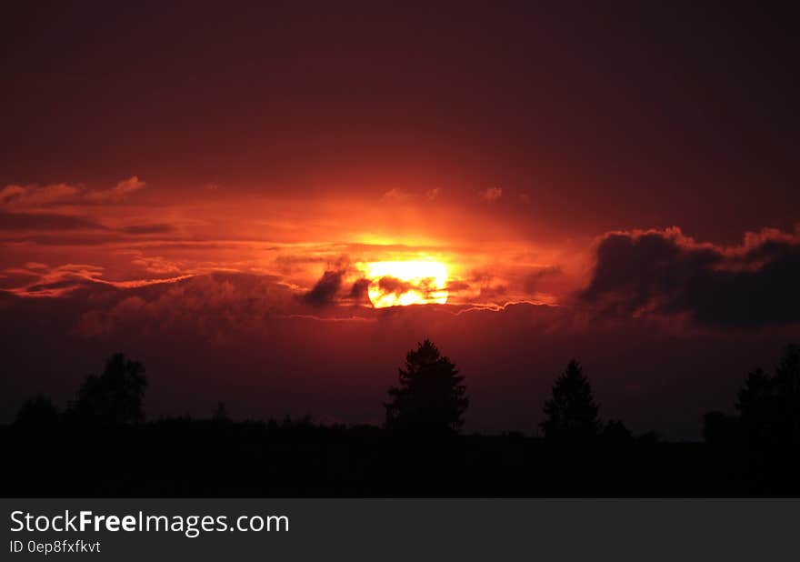 Silhouette Photo of a Sky and Trees