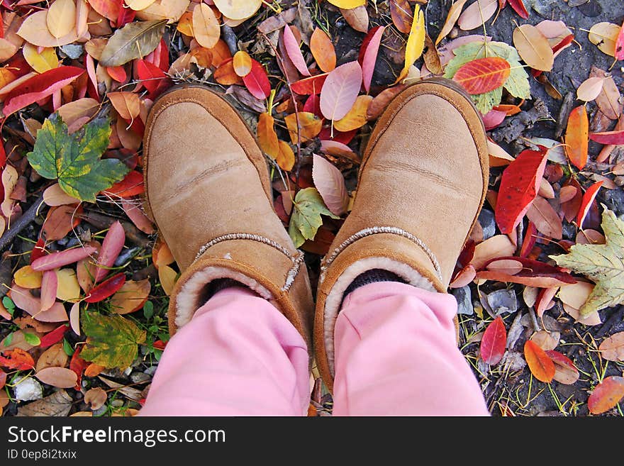 Person in Brown Sheepskin Boots and Pink Pants Standing on Leaf Covered Ground