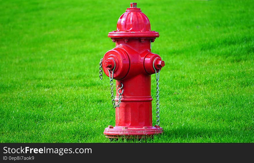 Red Fire Hydrant on Green Grass Field