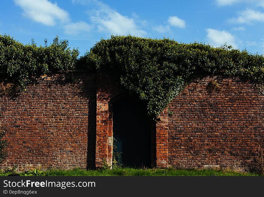 Tall old brick wall with closed garden gate and green bushes, summer scene. Tall old brick wall with closed garden gate and green bushes, summer scene.