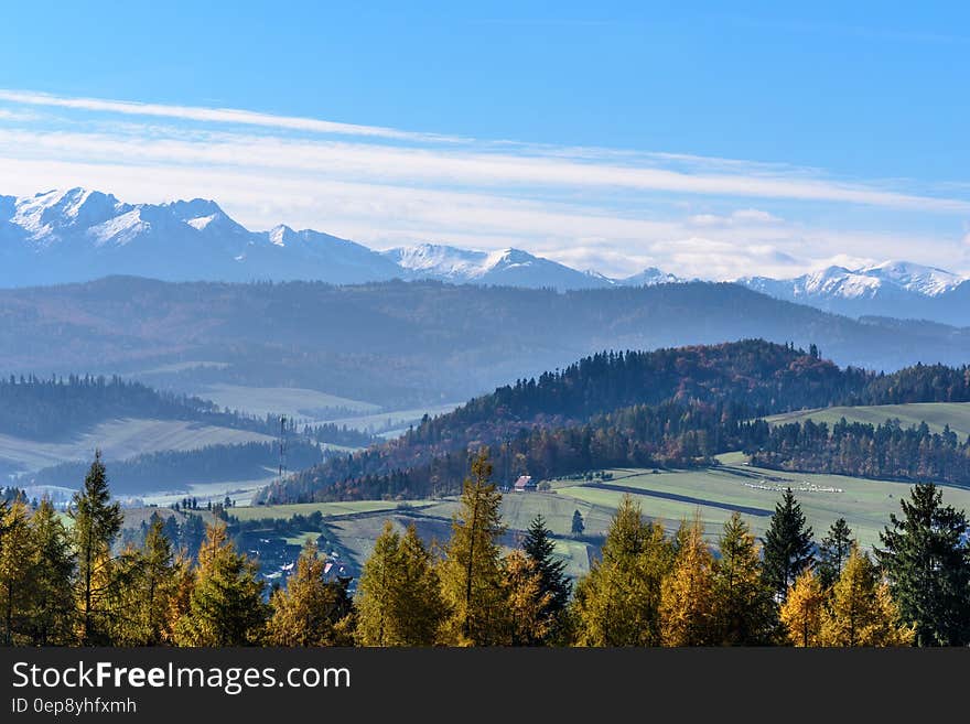 Landscape View of Mountain and Tress during Sunny Day