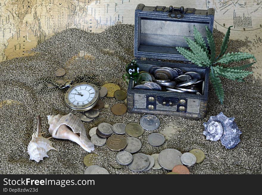 Gray Wooden Coin Box With Green Leaf Plant on Gray Sand