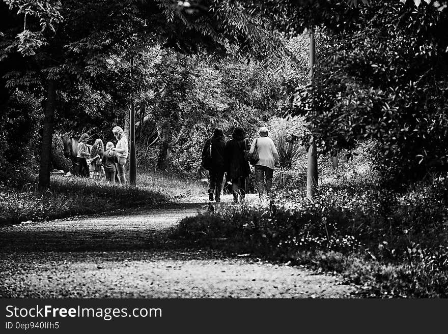 Black and White Photo of 3 Woman Walking in Forest