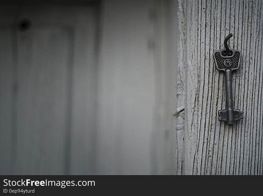 Selective Photography of Skeleton Key Hanging