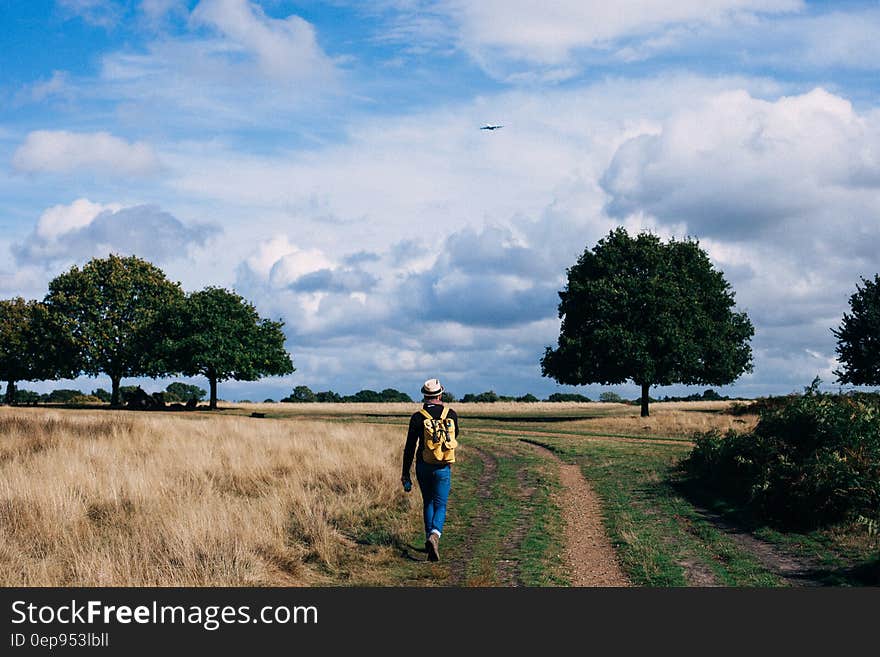 Person in Yellow and Black Backpack Walking on Green Grass Field Under Cloudy Blue Sky during Daytime