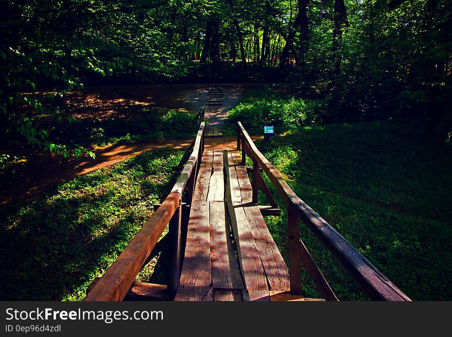 Brown Wooden Bridge Near Forest during Golden Hour