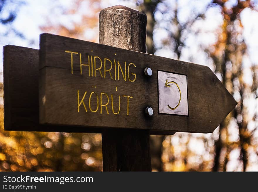 Thirring Korut Wooden Signage