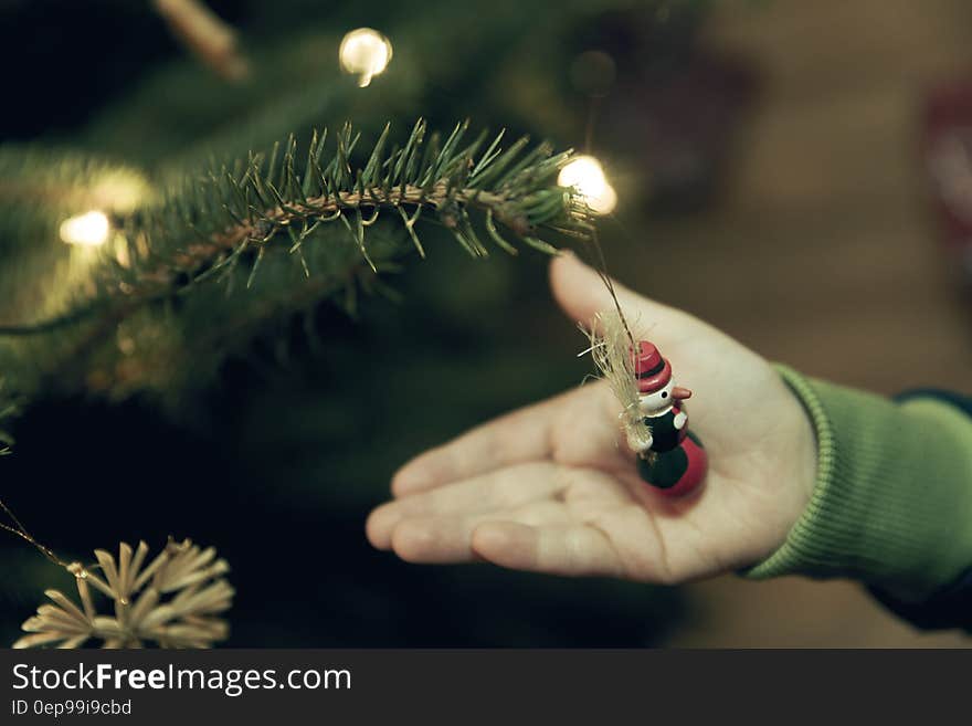 Red Green Snow Decor