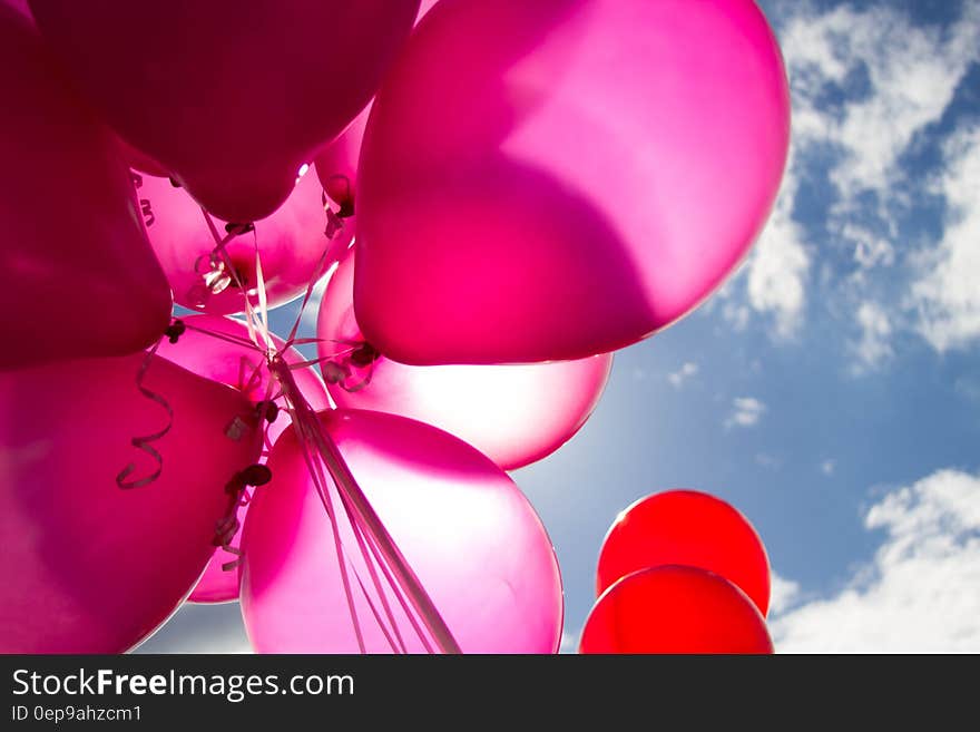 Pink and Red Balloons during Daytime