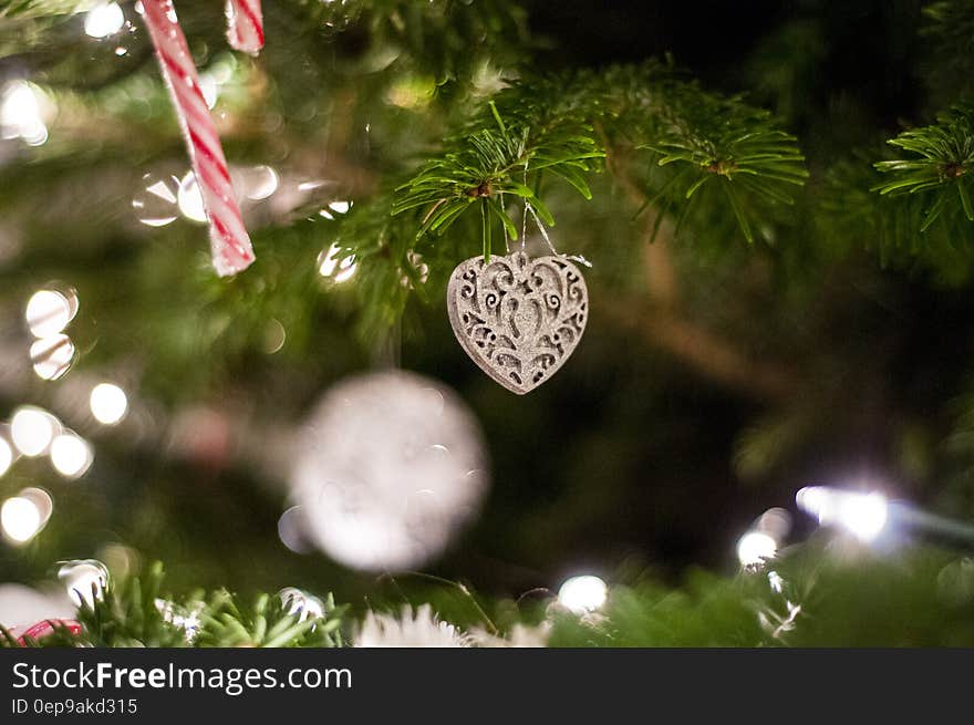 Heart Shaped Ornament