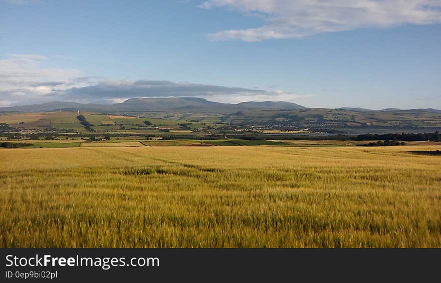 Brown Field Landscape Photography