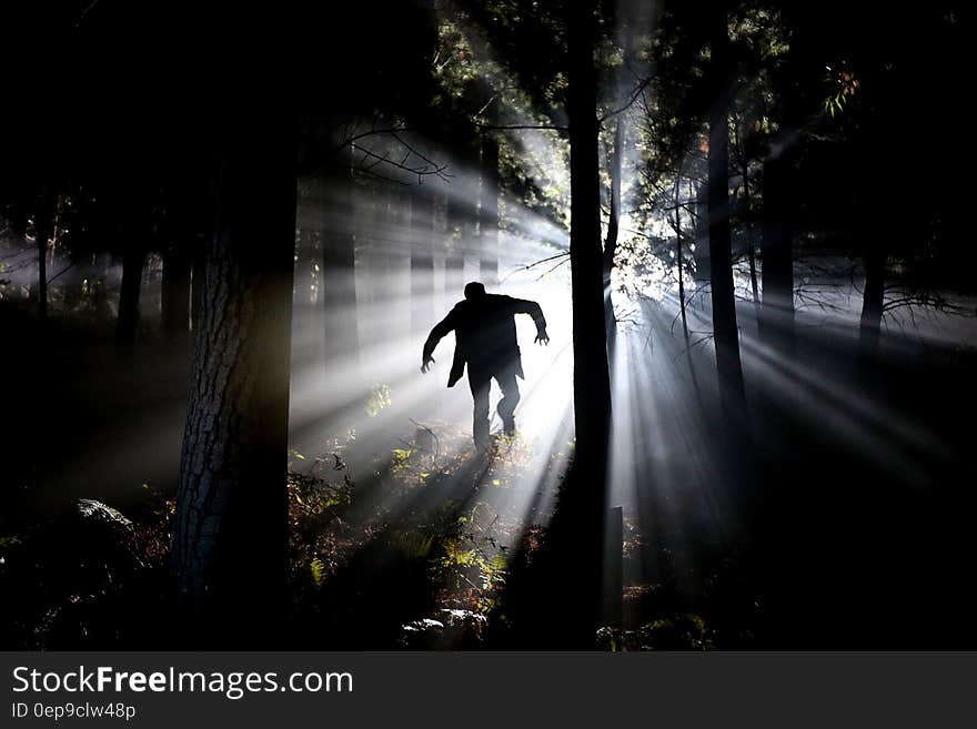 Silhouette of Man Running on Forest