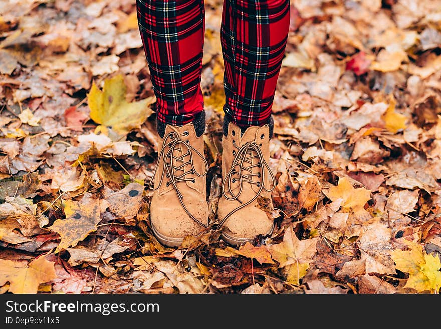 Person Wearing Brown Timberland Work Boots