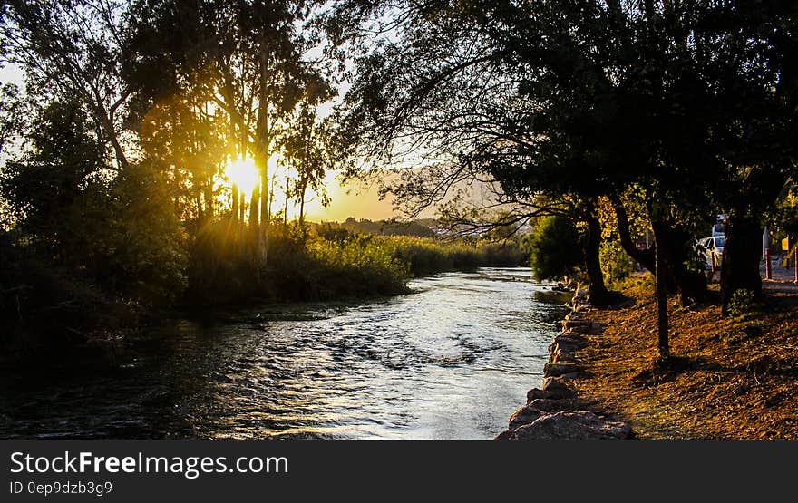 River With Tress during Sunny Clear Sky