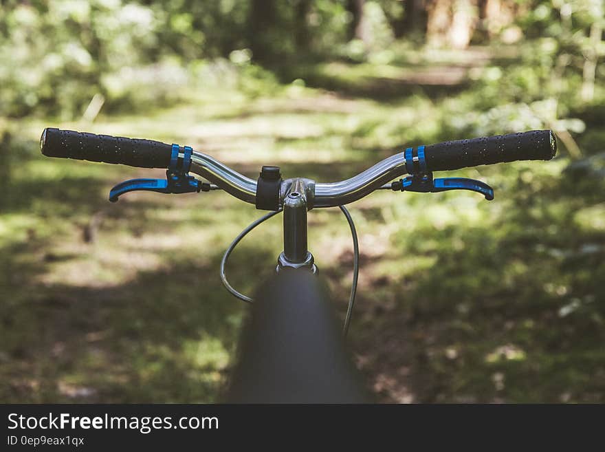 Chrome and Black Bike With the View of Pathway Beside Green Plants