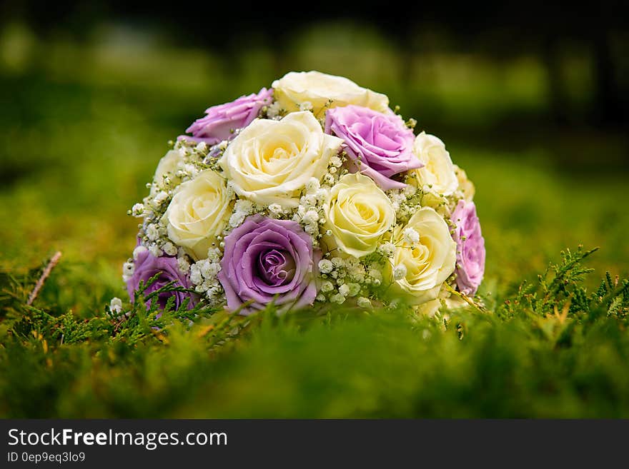 Yellow and Pink Rose Ornament