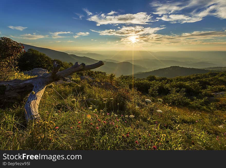 Mountain View during Sun Rise Under Blue Sky Photo