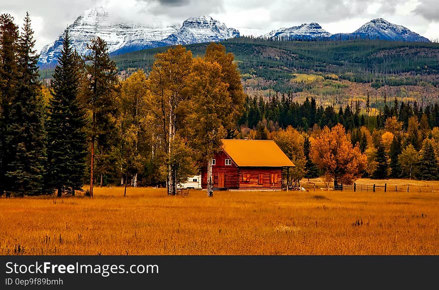 Wooden cabin in golden meadow next to trees with autumn foliage in mountain foothills on sunny day. Wooden cabin in golden meadow next to trees with autumn foliage in mountain foothills on sunny day.