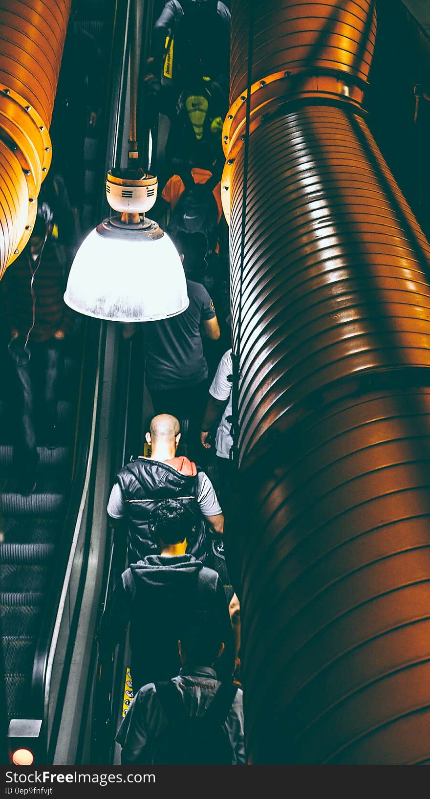 Photo of People Using Escalator Inside a Building