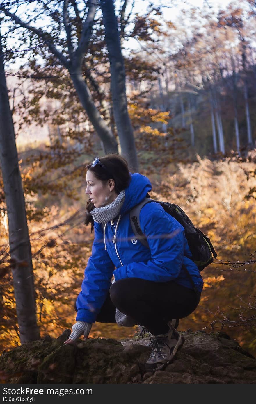 Woman in Blue and Gray Hoodie and Black Pants Sitting on Rock Formation Near Yellow Leaf Trees during Daytime