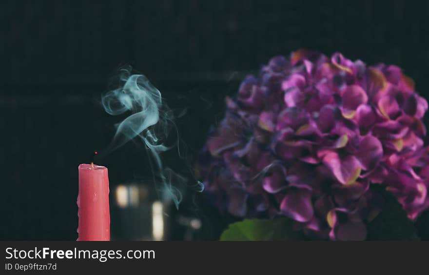 Red Pillar Candle Beside Purple Flower