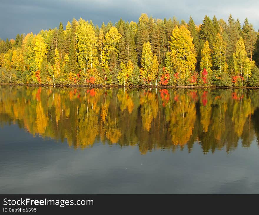 Green, orange and red colors of Autumn leaves of trees reflected in the surface of a tranquil lake. Green, orange and red colors of Autumn leaves of trees reflected in the surface of a tranquil lake.