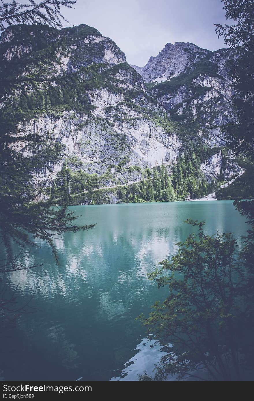 Lake Near White Mountain With Trees during Daytime