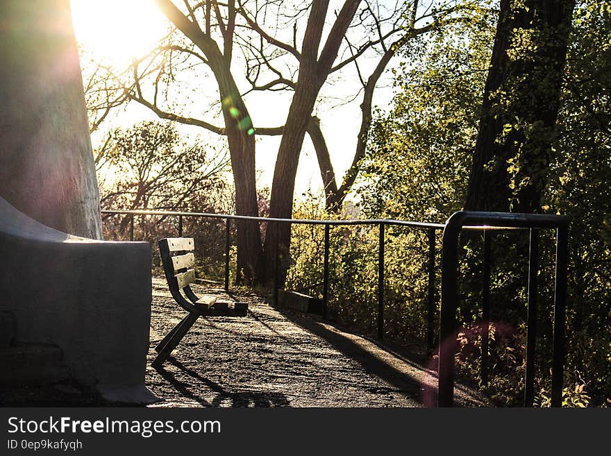 Black and Grey Vacant Bench Surrounded by Trees during Daytime