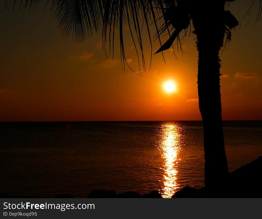 Sunset and orange glow over Caribbean ocean framed with a palm tree, perfect holiday destination. Sunset and orange glow over Caribbean ocean framed with a palm tree, perfect holiday destination.