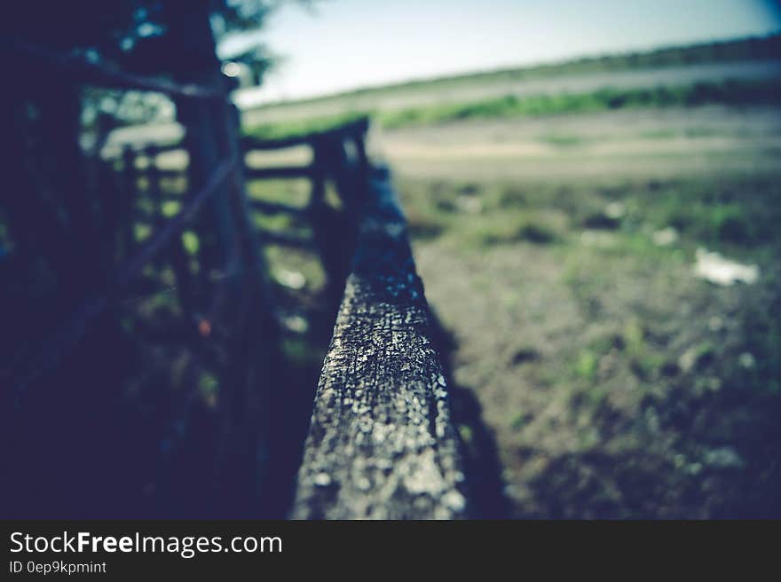 Closeup of the top rail of a wooden fence separating a dark forbidding forest from green agricultural land or pasture. Closeup of the top rail of a wooden fence separating a dark forbidding forest from green agricultural land or pasture.