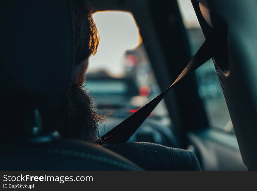 Rear view of passenger or driver sitting in front seat of car with seat belt fastened. Rear view of passenger or driver sitting in front seat of car with seat belt fastened.