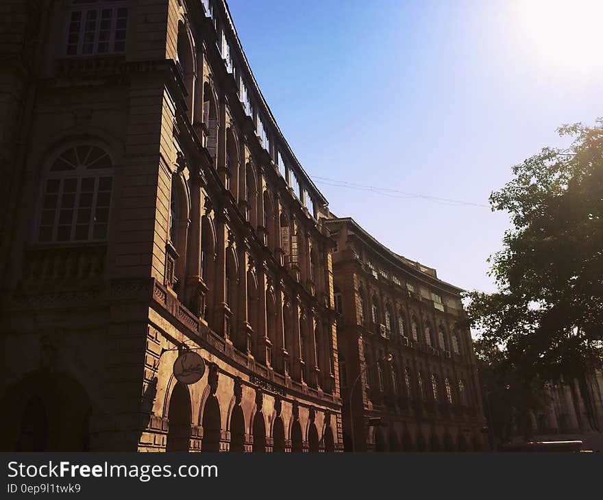 Exterior of brick building wall surrounding courtyard with tree against blue skies on sunny day. Exterior of brick building wall surrounding courtyard with tree against blue skies on sunny day.