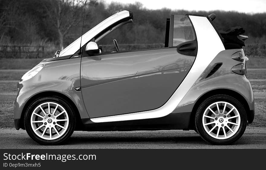 Smart Fortwo on Park