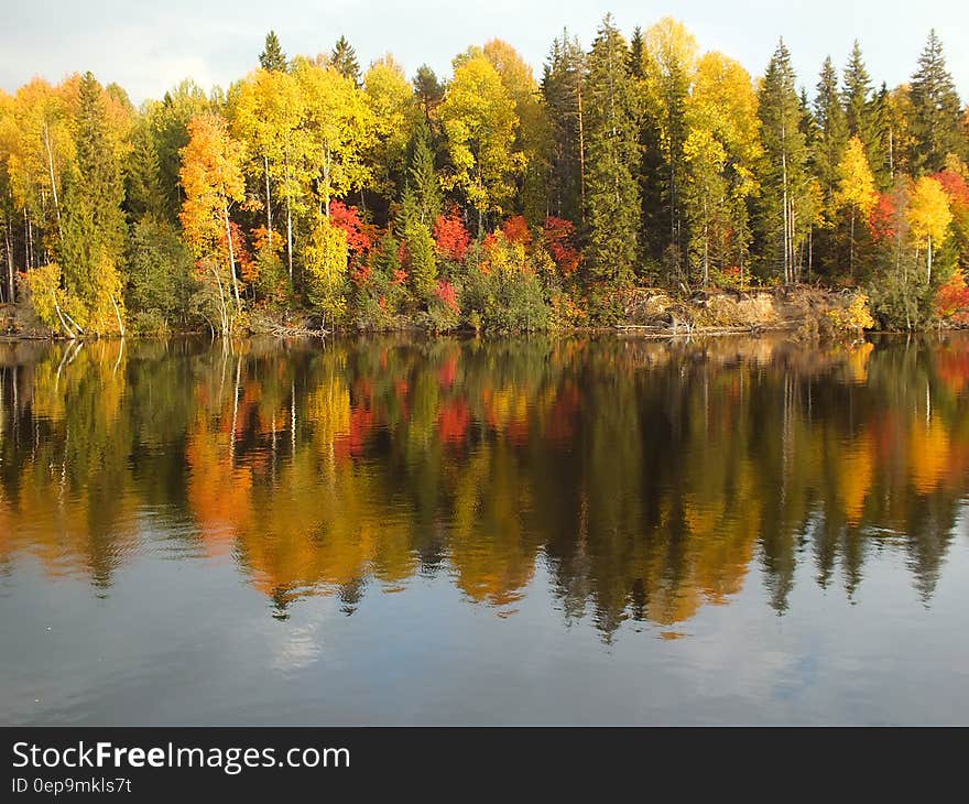 Trees in autumn foliage reflecting in waters along waterfront of rural lake. Trees in autumn foliage reflecting in waters along waterfront of rural lake.