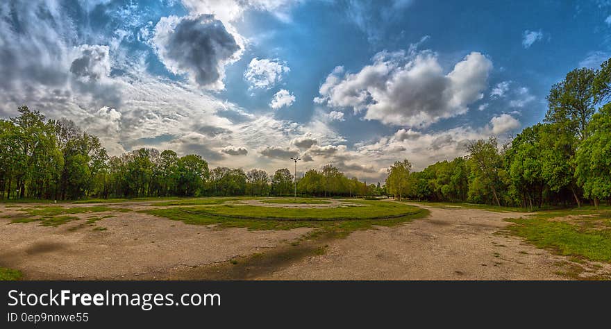 Brown and Green Forest Under Cloudy Sky