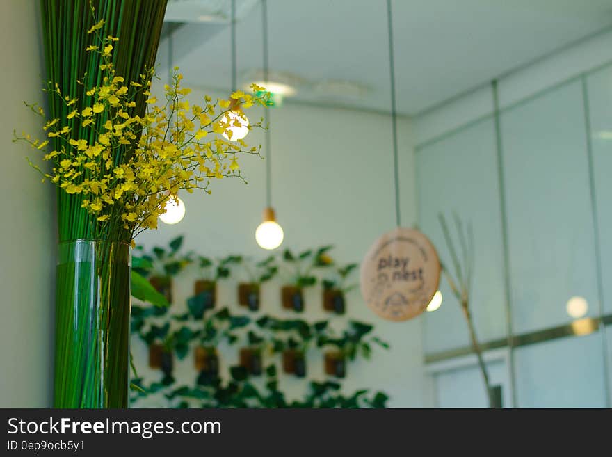 Indoor plants as a home decoration in a home decor store.