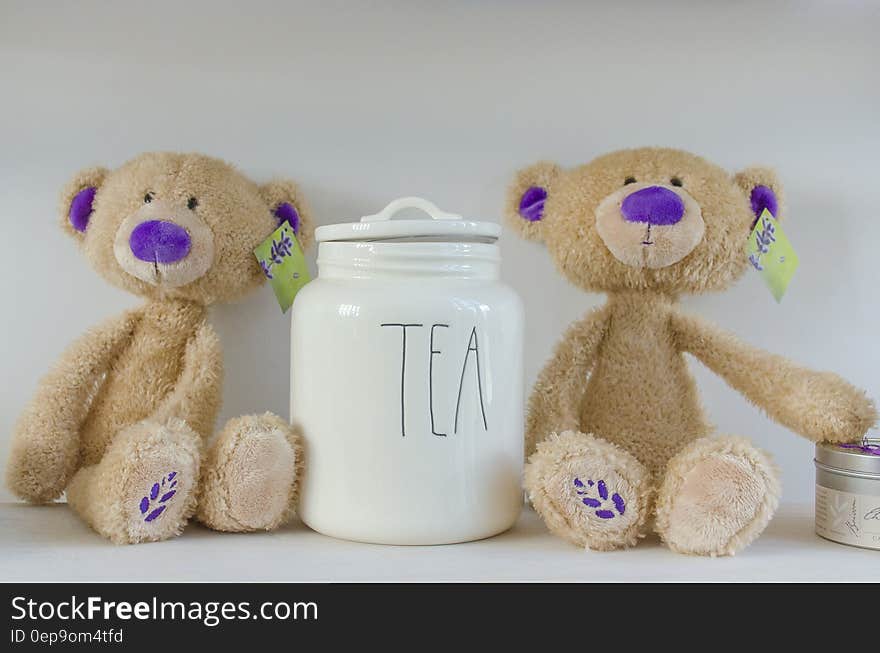 Pair of teddy bears on shelf with white china canister labeled tea. Pair of teddy bears on shelf with white china canister labeled tea.