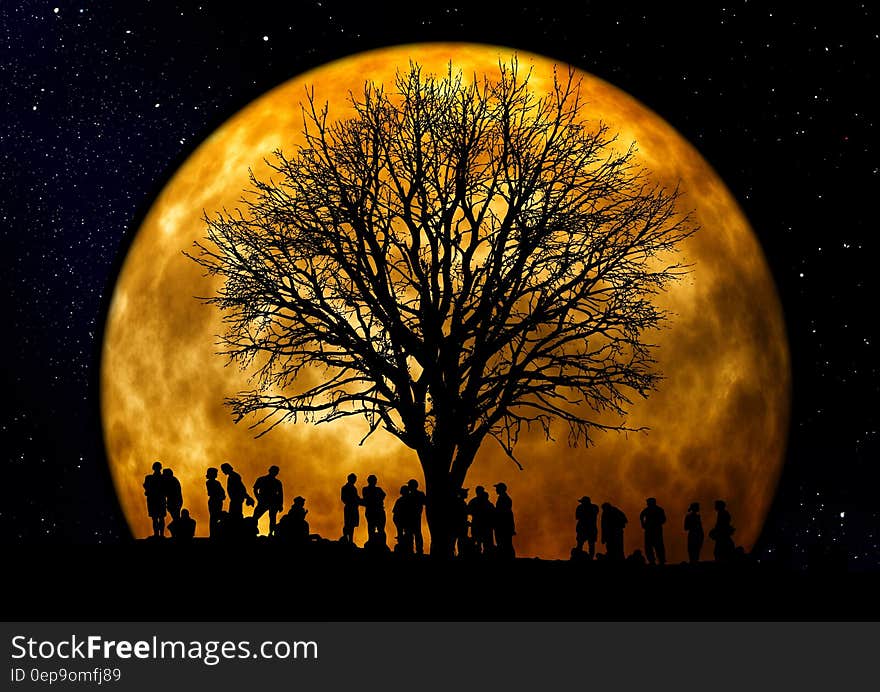 Silhouette of People Standing Neat Tree Under the Moon