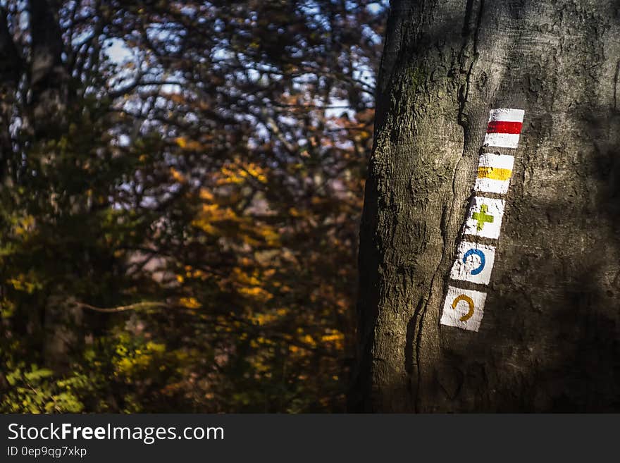 Selective Focus Photo of Tree Trunk at Daytime