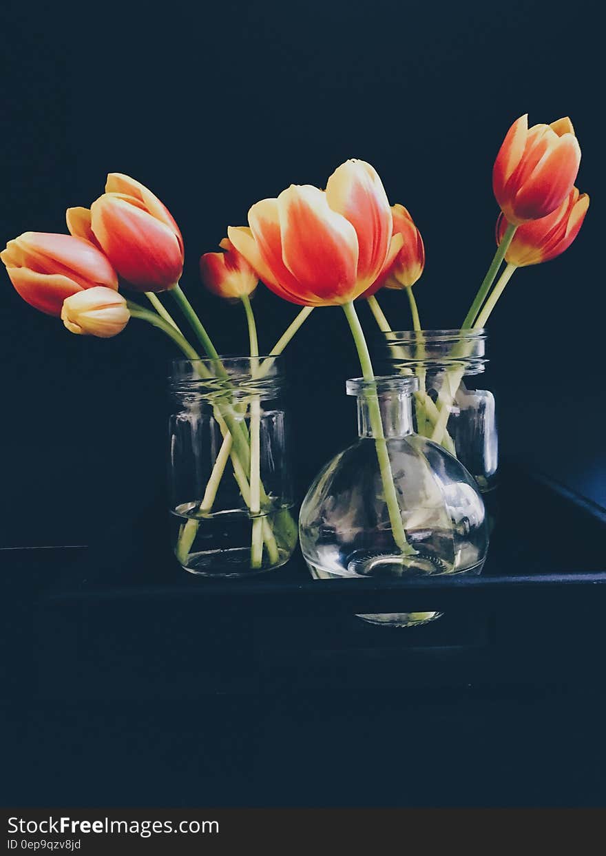 Red and Yellow Tulips in Clear Glass Jar and Vase Still Life Painting