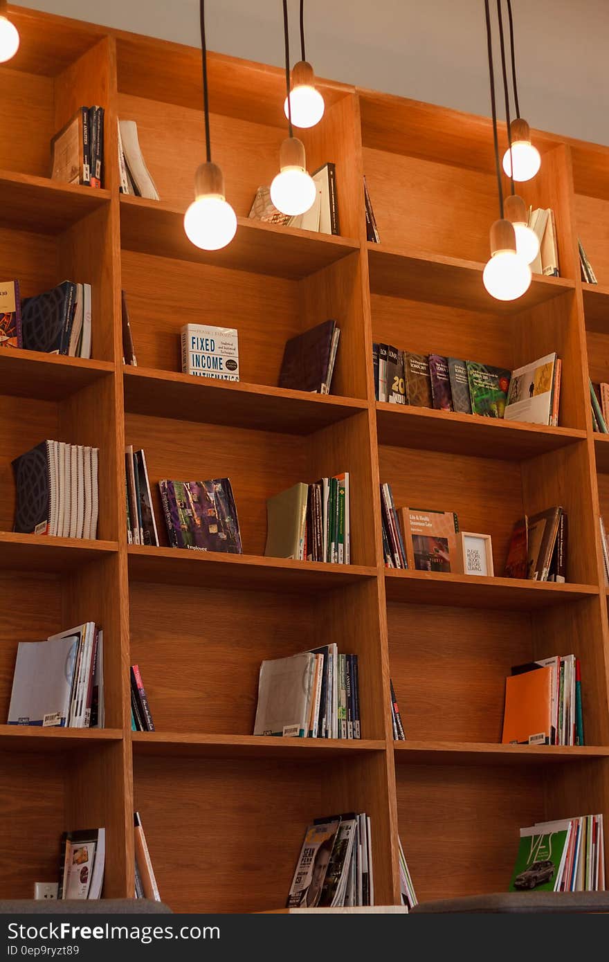 Books on built in wooden shelves with modern lights inside home. Books on built in wooden shelves with modern lights inside home.