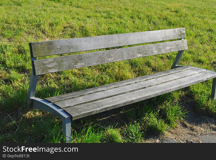 Empty park bench in green grass on sunny day.