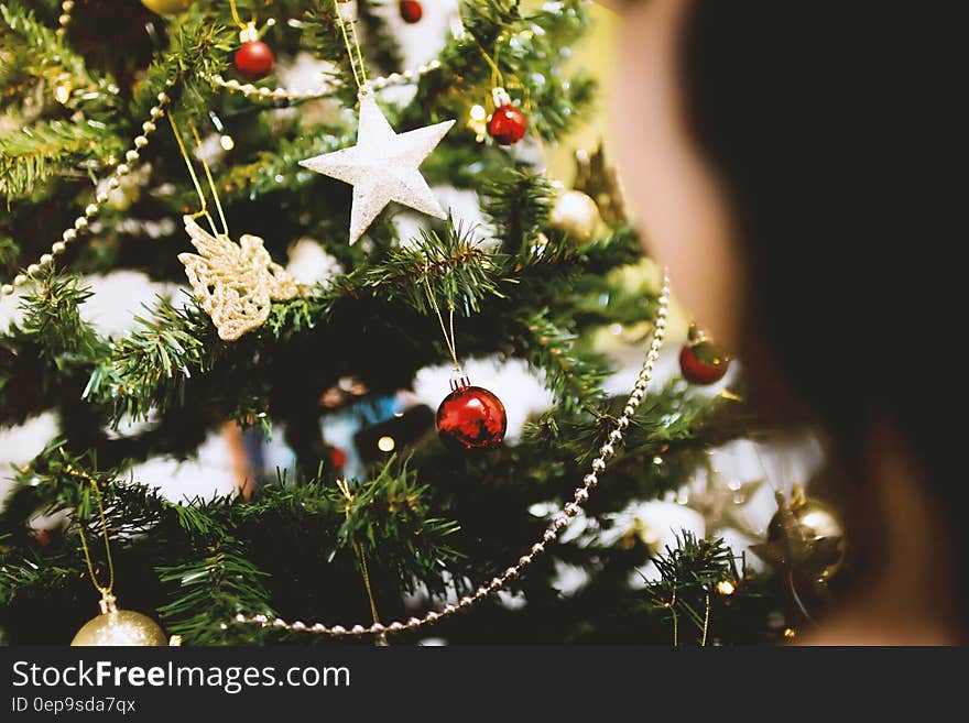 Close up of Christmas ornaments hanging on tree. Close up of Christmas ornaments hanging on tree.